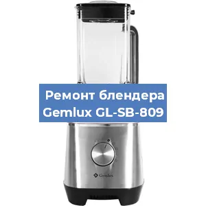 Замена щеток на блендере Gemlux GL-SB-809 в Нижнем Новгороде